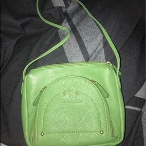 Stone Mountain purse